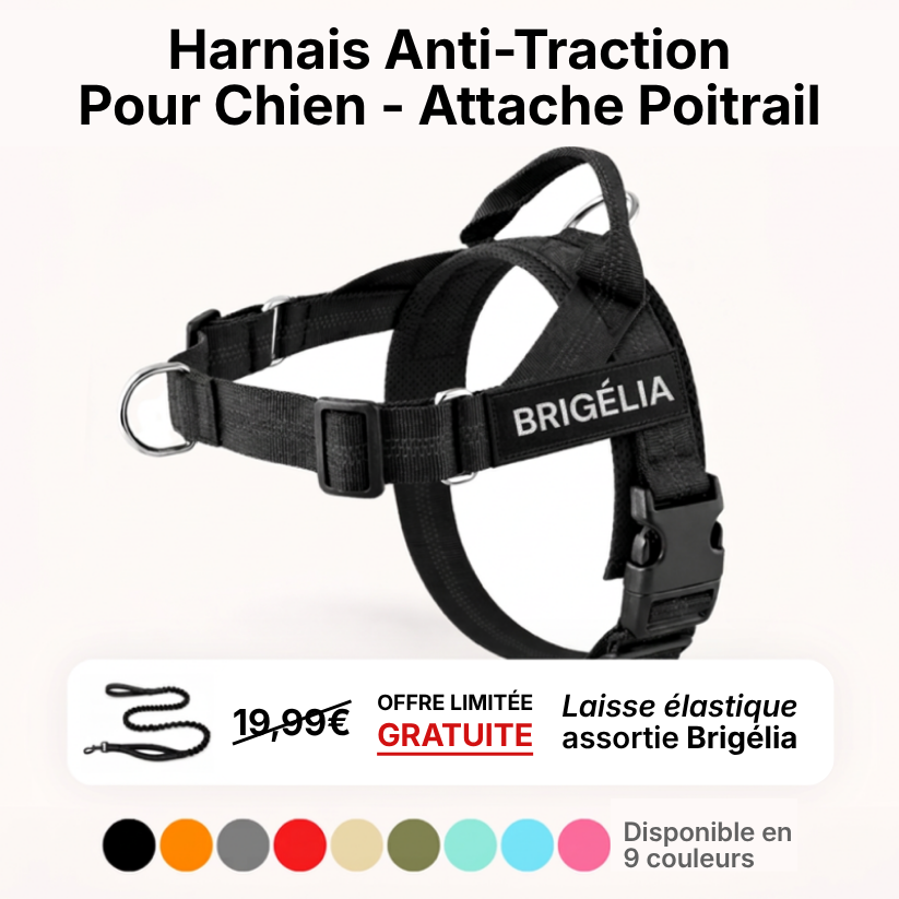 Harnais Anti-Traction pour Chien