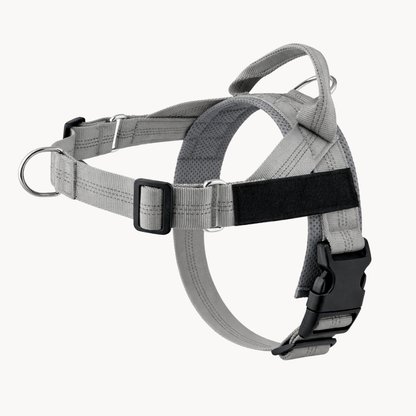 Harnais Anti-Traction pour Chien
