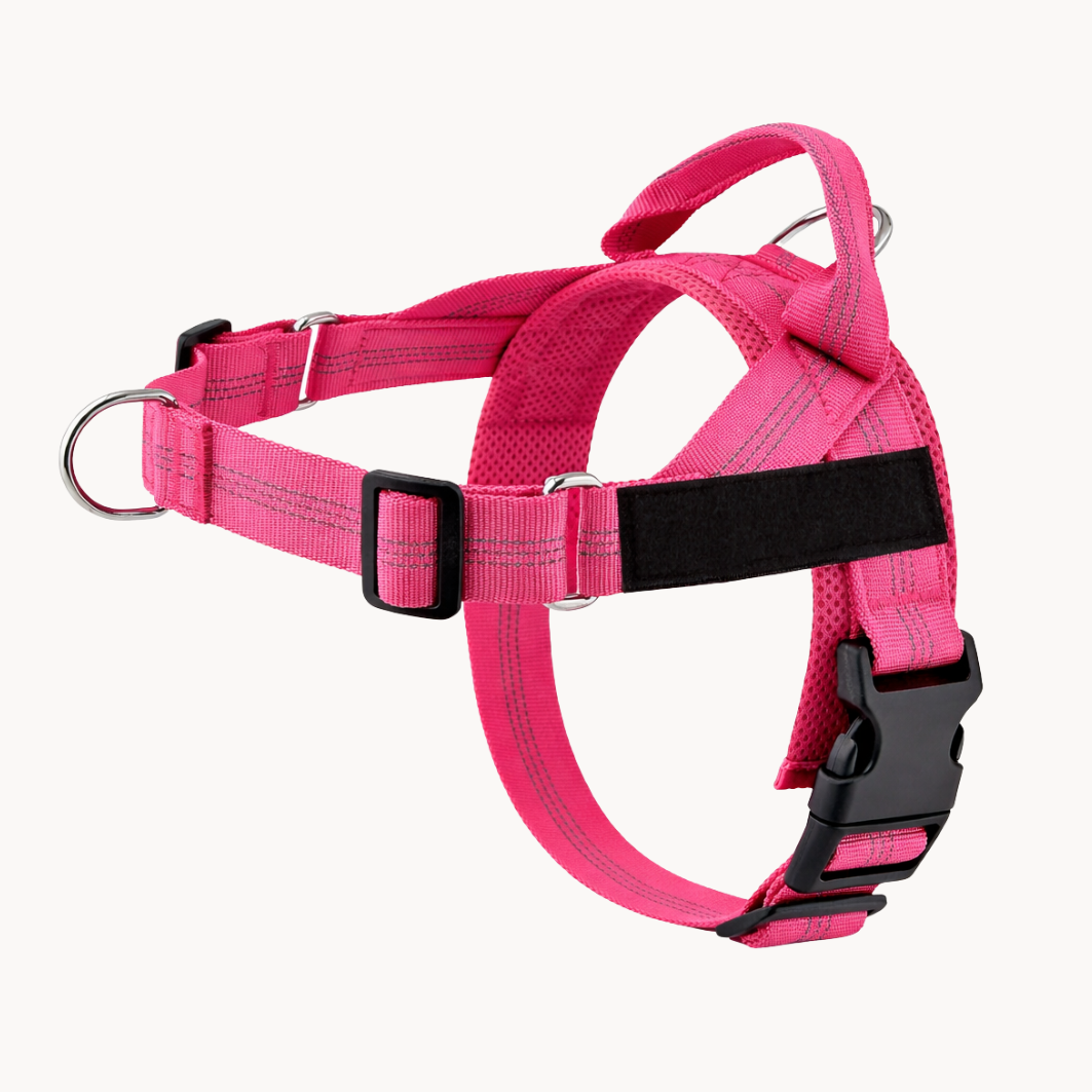Harnais Anti-Traction pour Chien