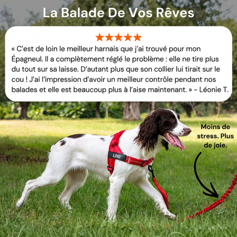 Harnais Anti-Traction pour Chien