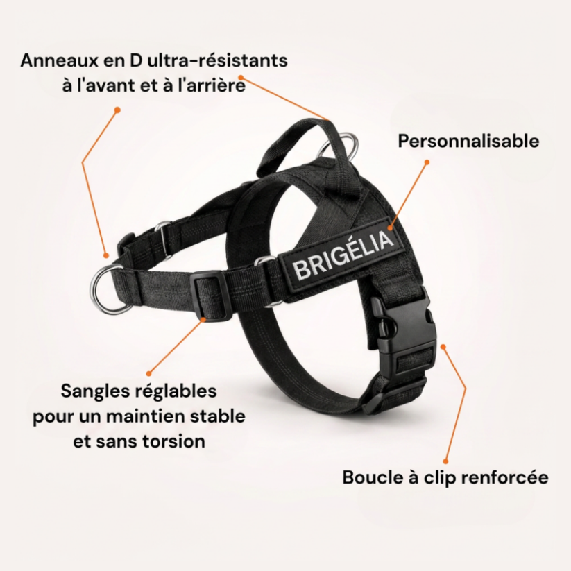 Harnais Anti-Traction pour Chien