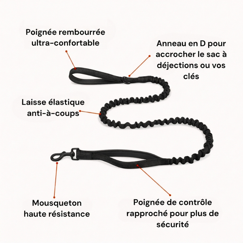 Harnais Anti-Traction pour Chien