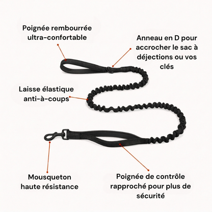 Harnais Anti-Traction pour Chien