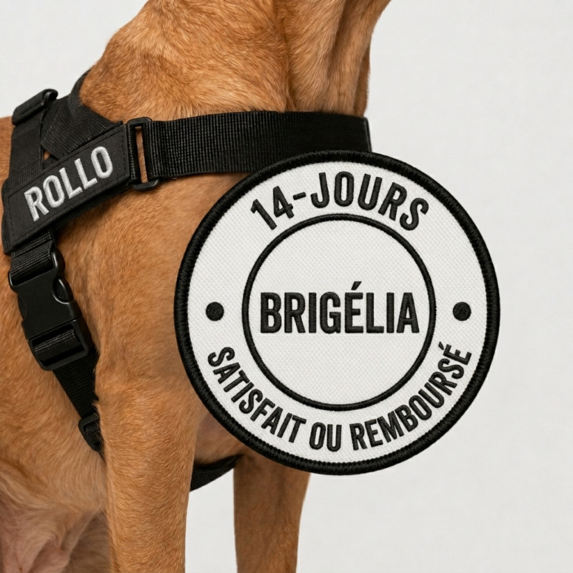 Harnais Anti-Traction pour Chien